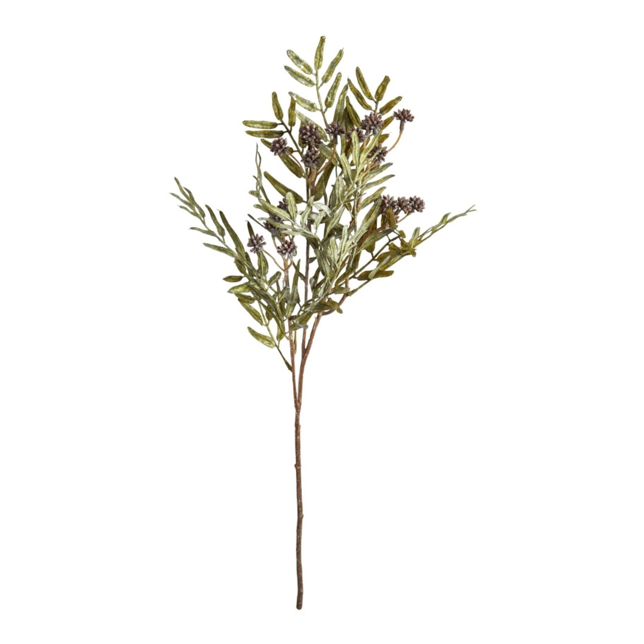 Kunstig Eukalyptus Gren Med Knopper H70 Cm Speedtsberg ModernRoom kunstig-eukalyptus-gren-med-knopper-h70-cm-speedtsberg-modernroom