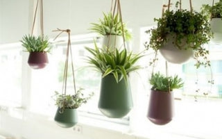 Planteophæng - sådan får du naturen ind i dit hjem