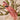 Fugl med klips 17 cm - Flere farver - 2Have