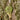 Julekugle Blad 11 cm - Flere farver - 2Have