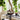 Bakke display - Nordal