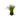 Blomst med rod - Flere farver